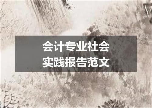 会计专业社会实践报告范文