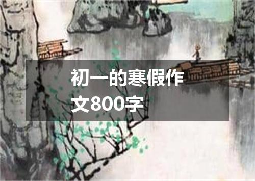 初一的寒假作文800字
