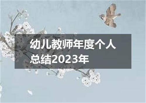 幼儿教师年度个人总结2023年