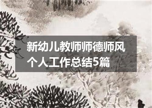 新幼儿教师师德师风个人工作总结5篇