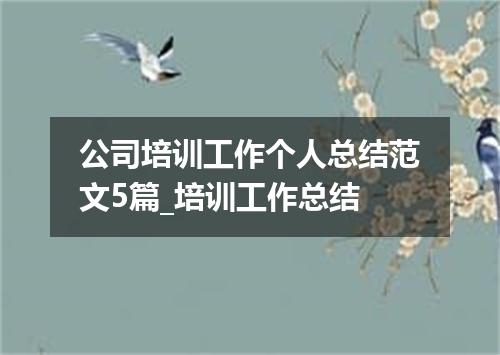 公司培训工作个人总结范文5篇_培训工作总结