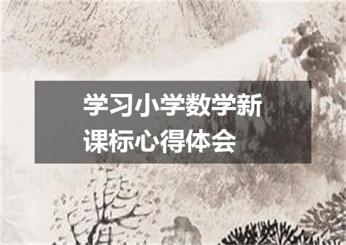 学习小学数学新课标心得体会