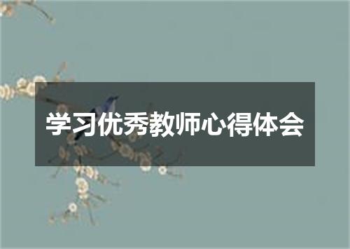 学习优秀教师心得体会