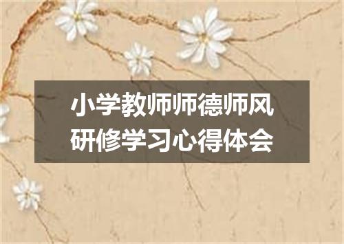 小学教师师德师风研修学习心得体会