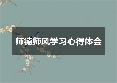 师德师风学习心得体会