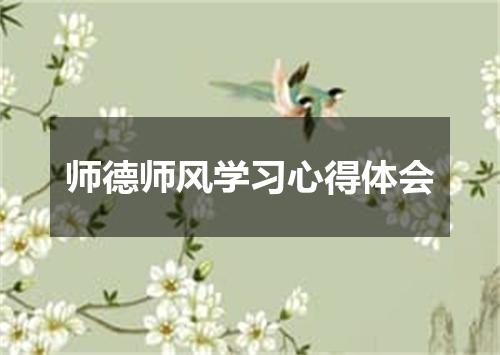 师德师风学习心得体会