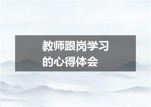 教师跟岗学习的心得体会