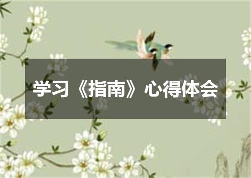 学习《指南》心得体会