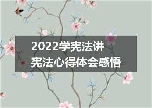 2022学宪法讲宪法心得体会感悟