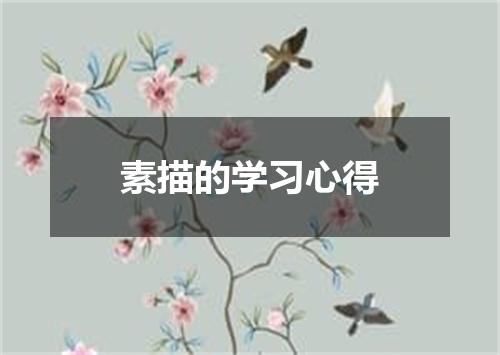素描的学习心得