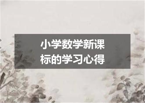 小学数学新课标的学习心得