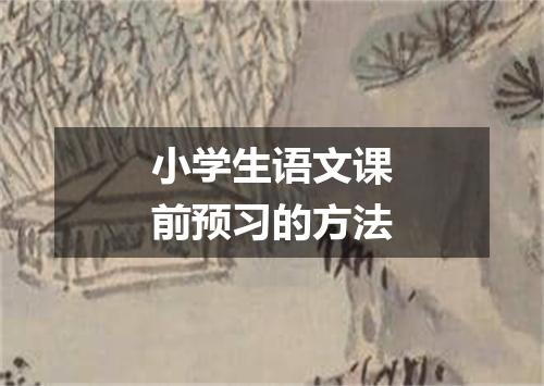 小学生语文课前预习的方法