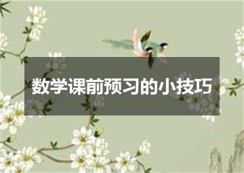 数学课前预习的小技巧