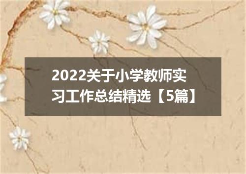 2022关于小学教师实习工作总结精选【5篇】
