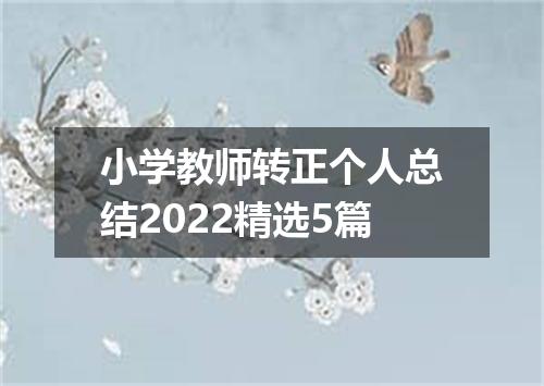 小学教师转正个人总结2022精选5篇