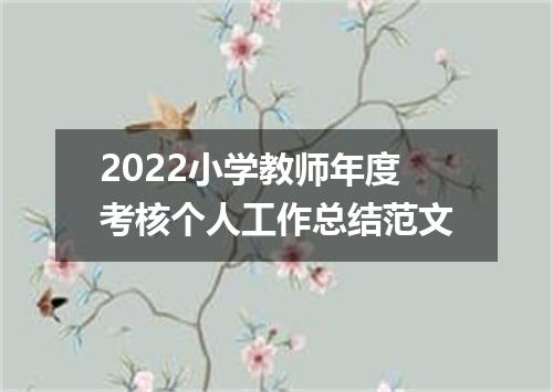 2022小学教师年度考核个人工作总结范文
