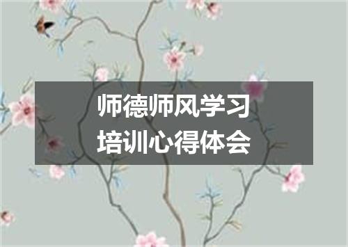 师德师风学习培训心得体会