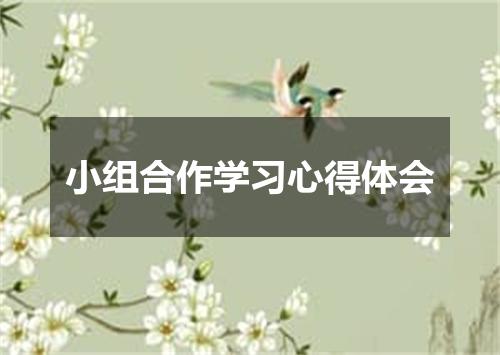 小组合作学习心得体会