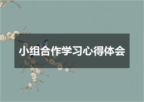 小组合作学习心得体会