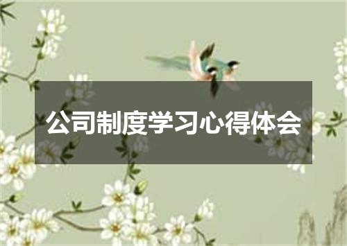 公司制度学习心得体会