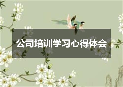 公司培训学习心得体会