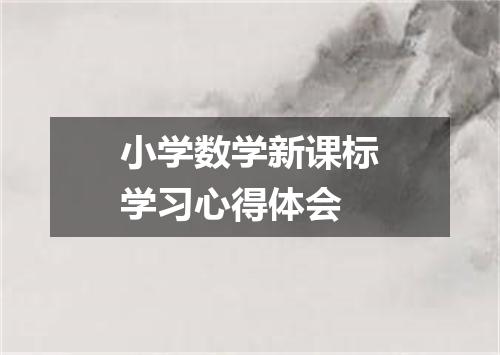 小学数学新课标学习心得体会