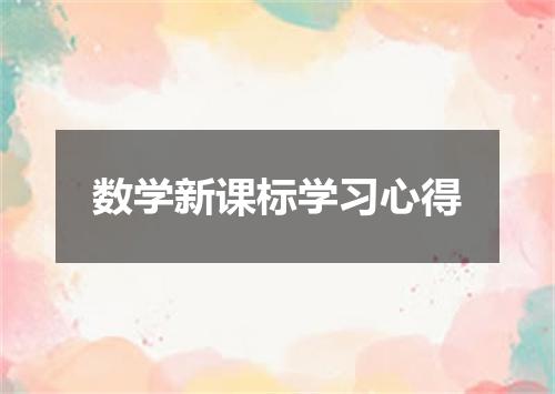 数学新课标学习心得