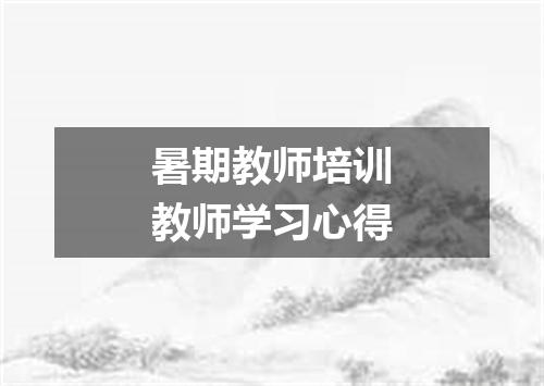 暑期教师培训教师学习心得