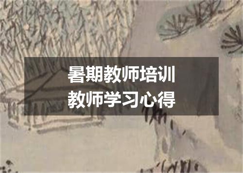 暑期教师培训教师学习心得
