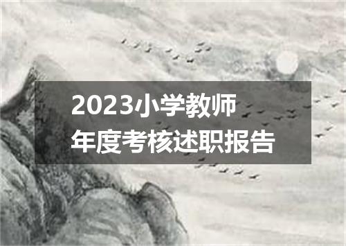 2023小学教师年度考核述职报告