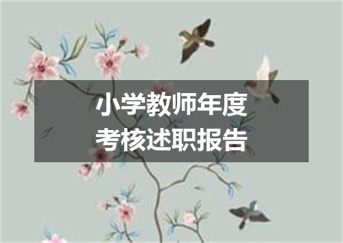 小学教师年度考核述职报告