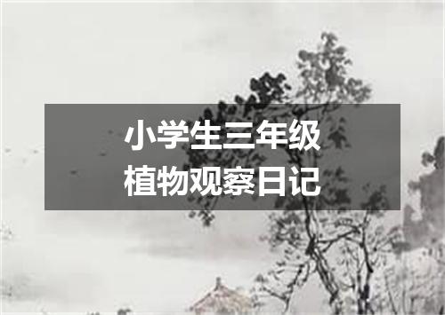 小学生三年级植物观察日记