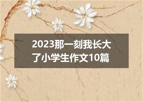 2023那一刻我长大了小学生作文10篇