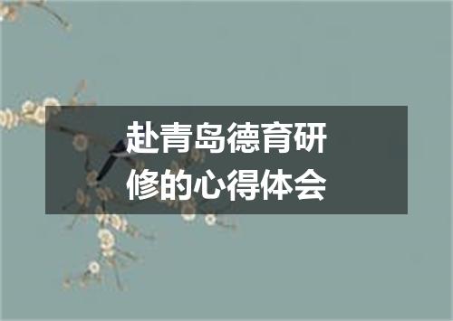 赴青岛德育研修的心得体会