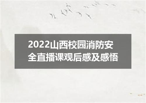 2022山西校园消防安全直播课观后感及感悟