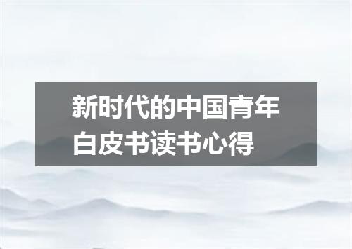 新时代的中国青年白皮书读书心得