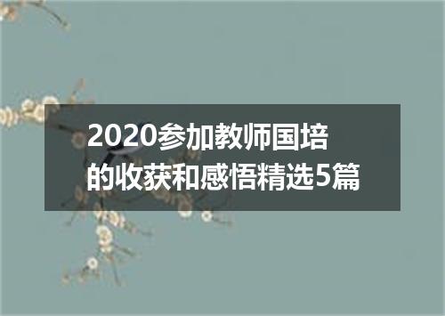 2020参加教师国培的收获和感悟精选5篇