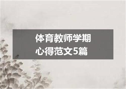 体育教师学期心得范文5篇