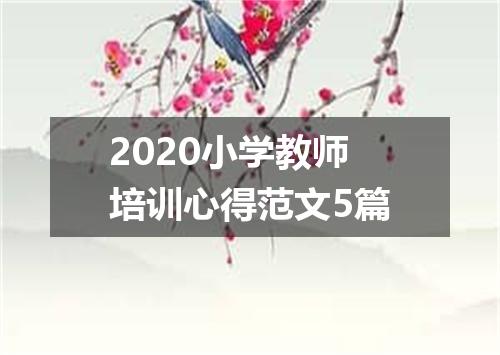 2020小学教师培训心得范文5篇