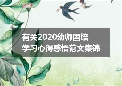 有关2020幼师国培学习心得感悟范文集锦