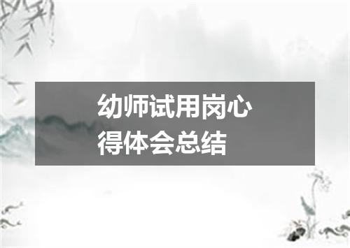 幼师试用岗心得体会总结