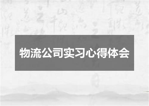 物流公司实习心得体会