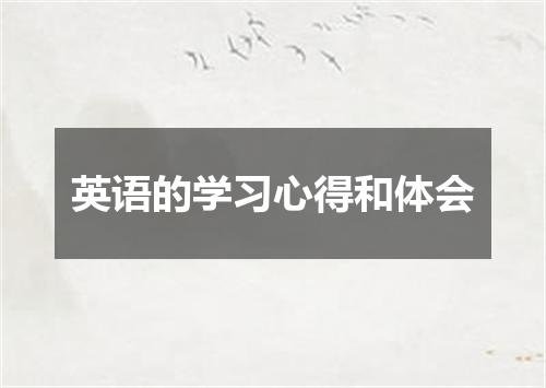 英语的学习心得和体会