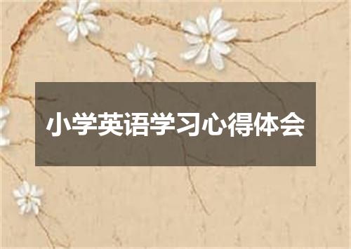 小学英语学习心得体会