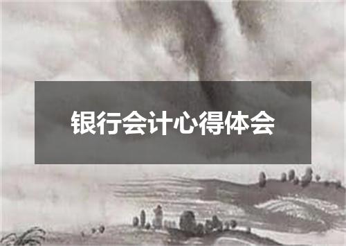 银行会计心得体会