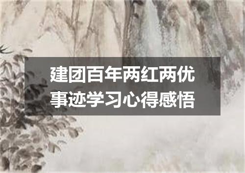 建团百年两红两优事迹学习心得感悟