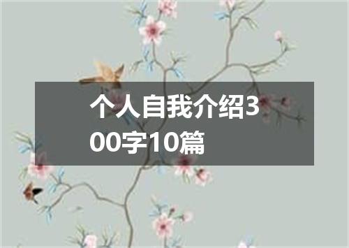 个人自我介绍300字10篇