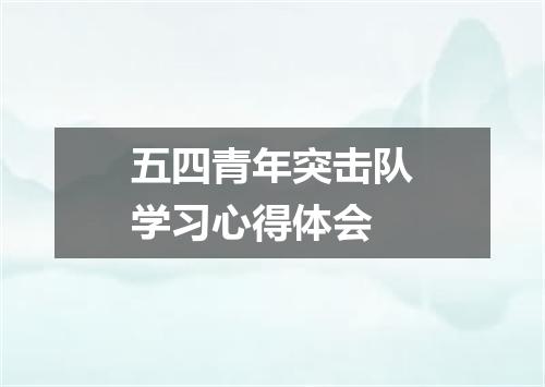 五四青年突击队学习心得体会