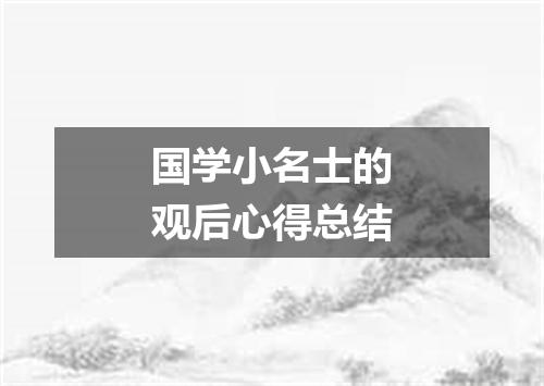 国学小名士的观后心得总结