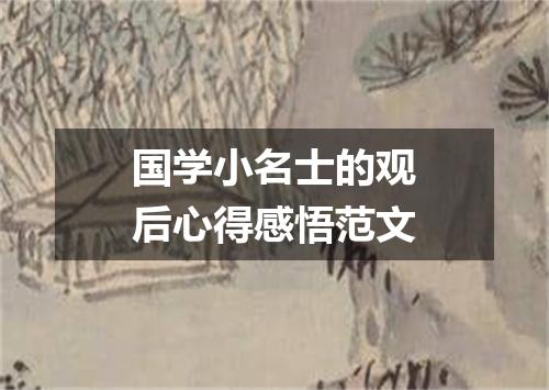 国学小名士的观后心得感悟范文